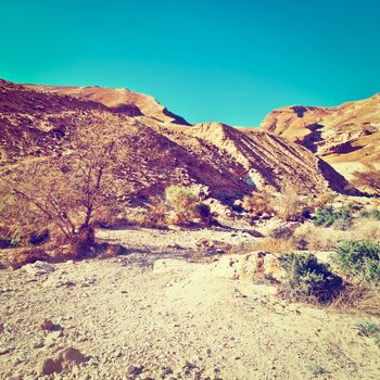 Canyon of the Negev Desert in Israel, Instagram Effect