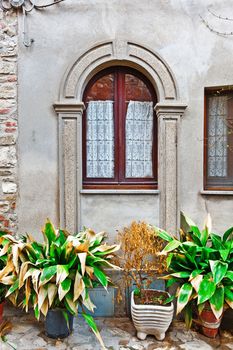 Window on the Facade of Italian House Decorated with Fresh Flower
