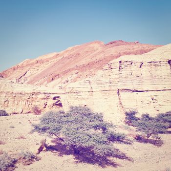 Canyon in the Judean Desert in Spring, Instagram Effect