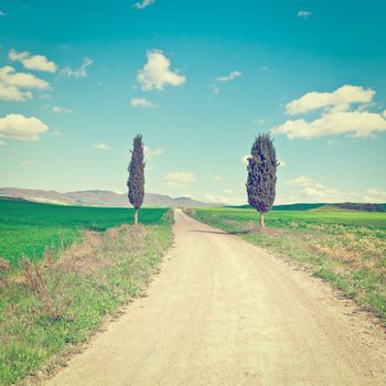 Dirt Road with Cypress Leading to the Farmhouse in Tuscany, Instagram Effect