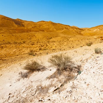 Rocky Hills of the Negev Desert in Israel