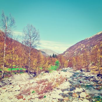 Mountain Stream in the Italian Alps in Piedmont, Instagram Effect