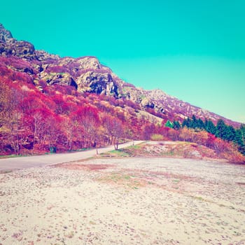 Asphalt Road  on the Slopes of the  Italian Alps in Piedmont, Instagram Effect