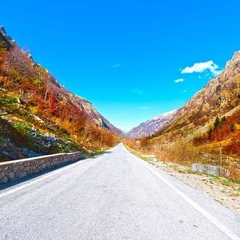 Asphalt Road  on the Slopes of the  Italian Alps in Piedmont