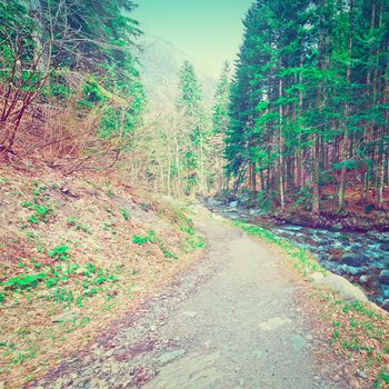 Dirt Forest Road along  Mountain Stream in the Italian Alps, Piedmont, Instagram Effect