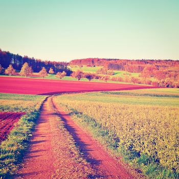 The Swiss Farmhouse Surrounded by Forests and Plowed Fields, Instagram Effect