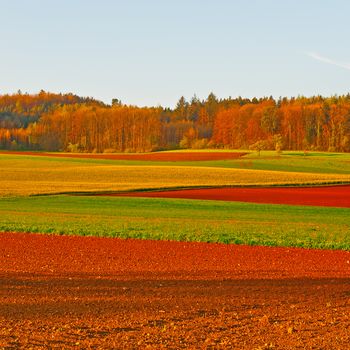 Plowed Fields on the Background of the Spring Forest in Switzerland