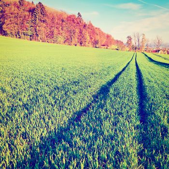 Track of Tractor in the Green Grass, Swiss Alps, Instagram Effect