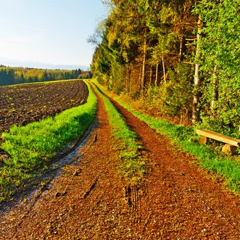 Dirt Road between Plowed Field and Forest in Swiss Alps