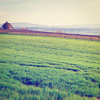 Green Pastures around Farmhouse in Switzerland, Instagram Effect