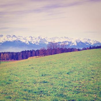 Meadow on the Background of Snow-capped Alps in Switzerland, Instagram Effect