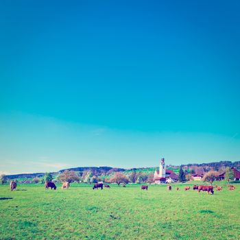 The Swiss Village Surrounded by Meadows, Instagram Effect