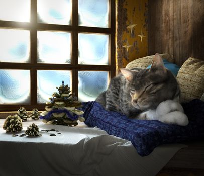 Sleeping cat on winter window background concept composition 3d render