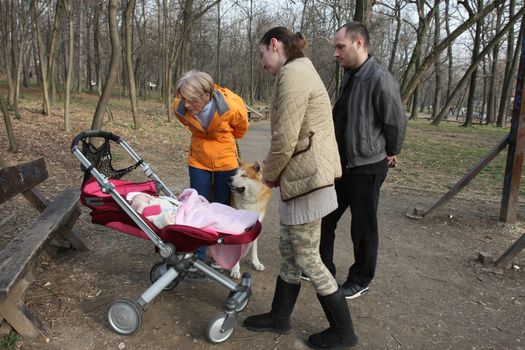 Mother,father,grandmother and dog admiring the baby in public park