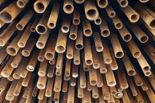 Cutting bamboo, cross section of bamboo