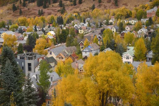 telluride with fall foliage