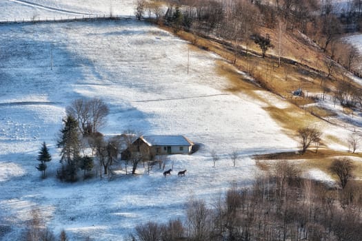 Frozen sunny day of a winter, on wild transylvania hills. Holbav. Romania. Low key, dark background, spot lighting, and rich Old Masters