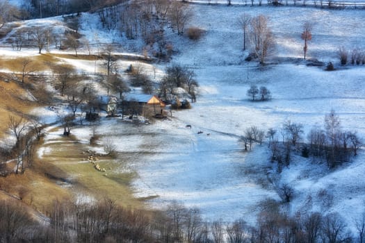 Frozen sunny day of a winter, on wild transylvania hills. Holbav. Romania. Low key, dark background, spot lighting, and rich Old Masters