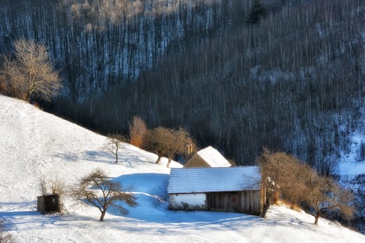 Frozen sunny day of a winter, on wild transylvania hills. Holbav. Romania. Low key, dark background, spot lighting, and rich Old Masters