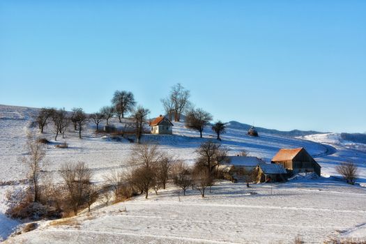 Frozen sunny day of a winter, on wild transylvania hills. Holbav. Romania. Low key, dark background, spot lighting, and rich Old Masters