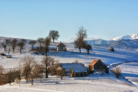 Frozen sunny day of a winter, on wild transylvania hills. Holbav. Romania. Low key, dark background, spot lighting, and rich Old Masters