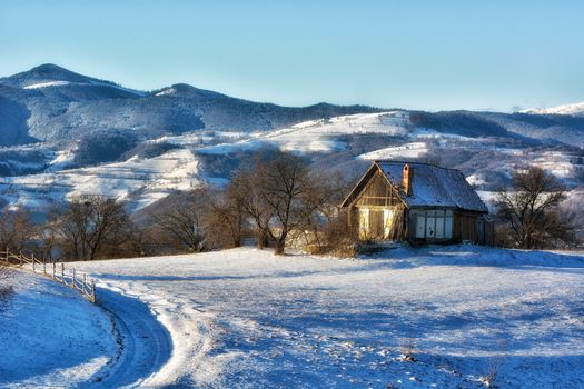 Frozen sunny day of a winter, on wild transylvania hills. Holbav. Romania. Low key, dark background, spot lighting, and rich Old Masters