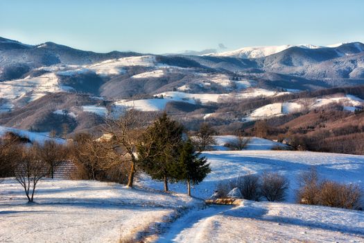 Frozen sunny day of a winter, on wild transylvania hills. Holbav. Romania. Low key, dark background, spot lighting, and rich Old Masters