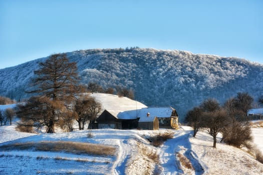 Frozen sunny day of a winter, on wild transylvania hills. Holbav. Romania. Low key, dark background, spot lighting, and rich Old Masters