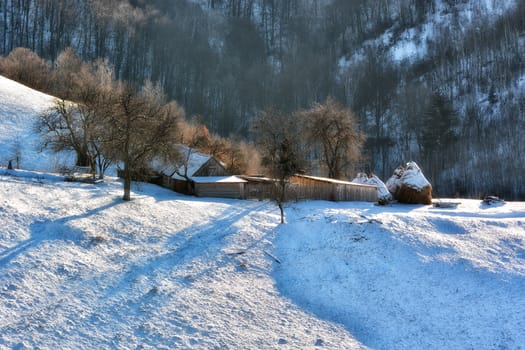 Frozen sunny day of a winter, on wild transylvania hills. Holbav. Romania. Low key, dark background, spot lighting, and rich Old Masters