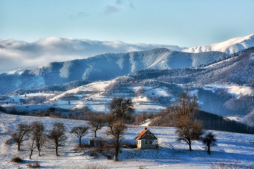 Frozen sunny day of a winter, on wild transylvania hills. Holbav. Romania. Low key, dark background, spot lighting, and rich Old Masters