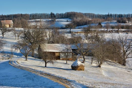 Frozen sunny day of a winter, on wild transylvania hills. Holbav. Romania. Low key, dark background, spot lighting, and rich Old Masters