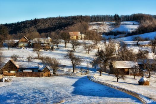 Frozen sunny day of a winter, on wild transylvania hills. Holbav. Romania. Low key, dark background, spot lighting, and rich Old Masters