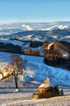 Frozen sunny day of a winter, on wild transylvania hills. Holbav. Romania. Low key, dark background, spot lighting, and rich Old Masters