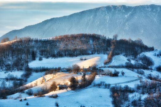 Frozen sunny day of a winter, on wild transylvania hills. Holbav. Romania. Low key, dark background, spot lighting, and rich Old Masters