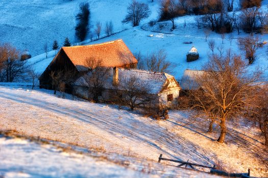 Frozen sunny day of a winter, on wild transylvania hills. Holbav. Romania. Low key, dark background, spot lighting, and rich Old Masters