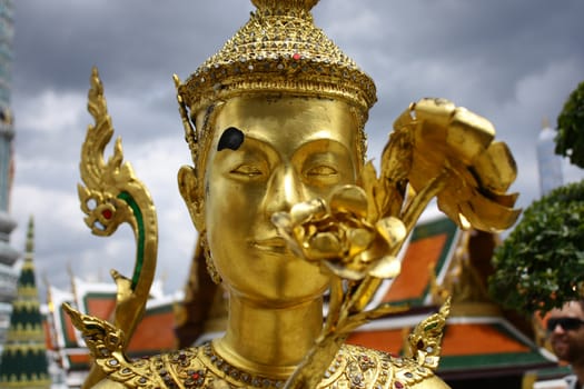 Golden kinnaree (Thai ancient novel animal) with blur dark sky







golden kinnaree (