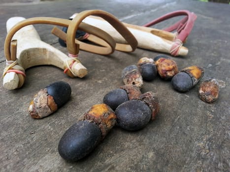 Makha seed (asian wood tree) and slingshot on wooden table






Makha seeds (asian wood tree) and