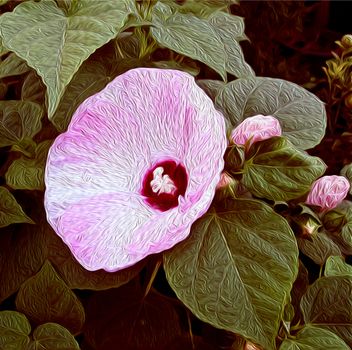 oil painted flowers