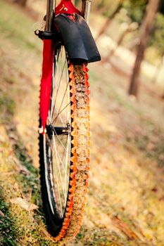 Close up of a Bicycle front wheel with details, in morning sunlight.