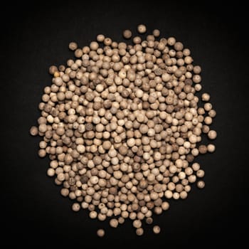 Top view of Organic White Pepper (Piper nigrum) isolated on dark background.