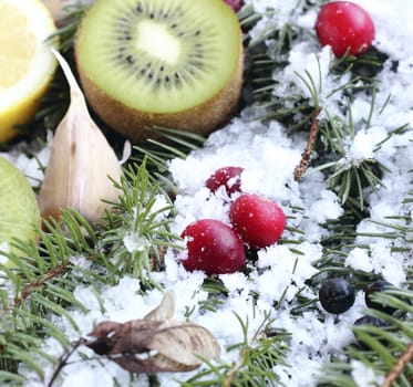 Close up fruits in the snow