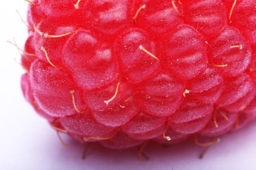 Macro view of a raspberry on white background 