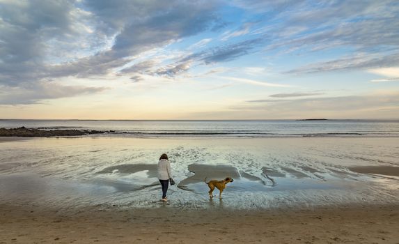 Happy looking mature woman is enjoying a sunset at the beach with her pet dog, with ocean and twilight sky as background and copy space.