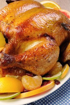 Baked chicken with slices of orange, lime, tangerine and cranberry