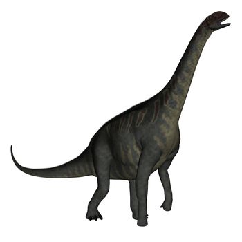 Jobaria dinosaur walking isolated in white background - 3D render