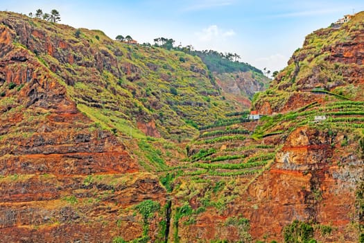 Colorful rocky cliff coast of Madeira with banana plantations near Jardim do Mar