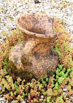 Broken clay jug used as garden ornament.