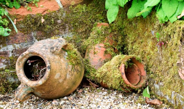 Old clay pots used as garden ornaments.