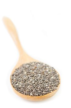 chiaseed superfoods in wooden spoon on white background.