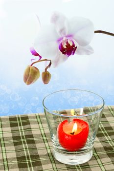 White Orchid And red candles on the dining table.